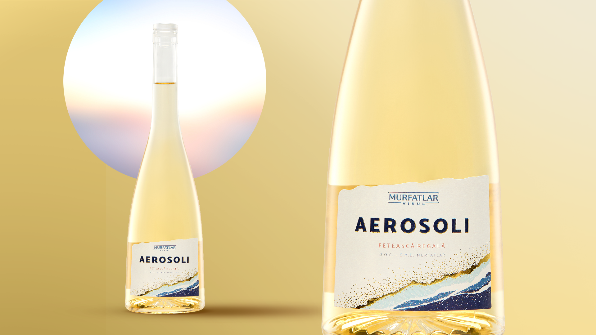 Aerosoli_Credo_1 copy